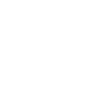 ico-disability